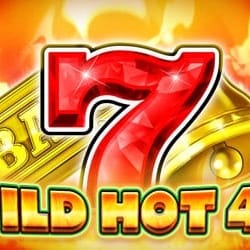 WILD HOT 40